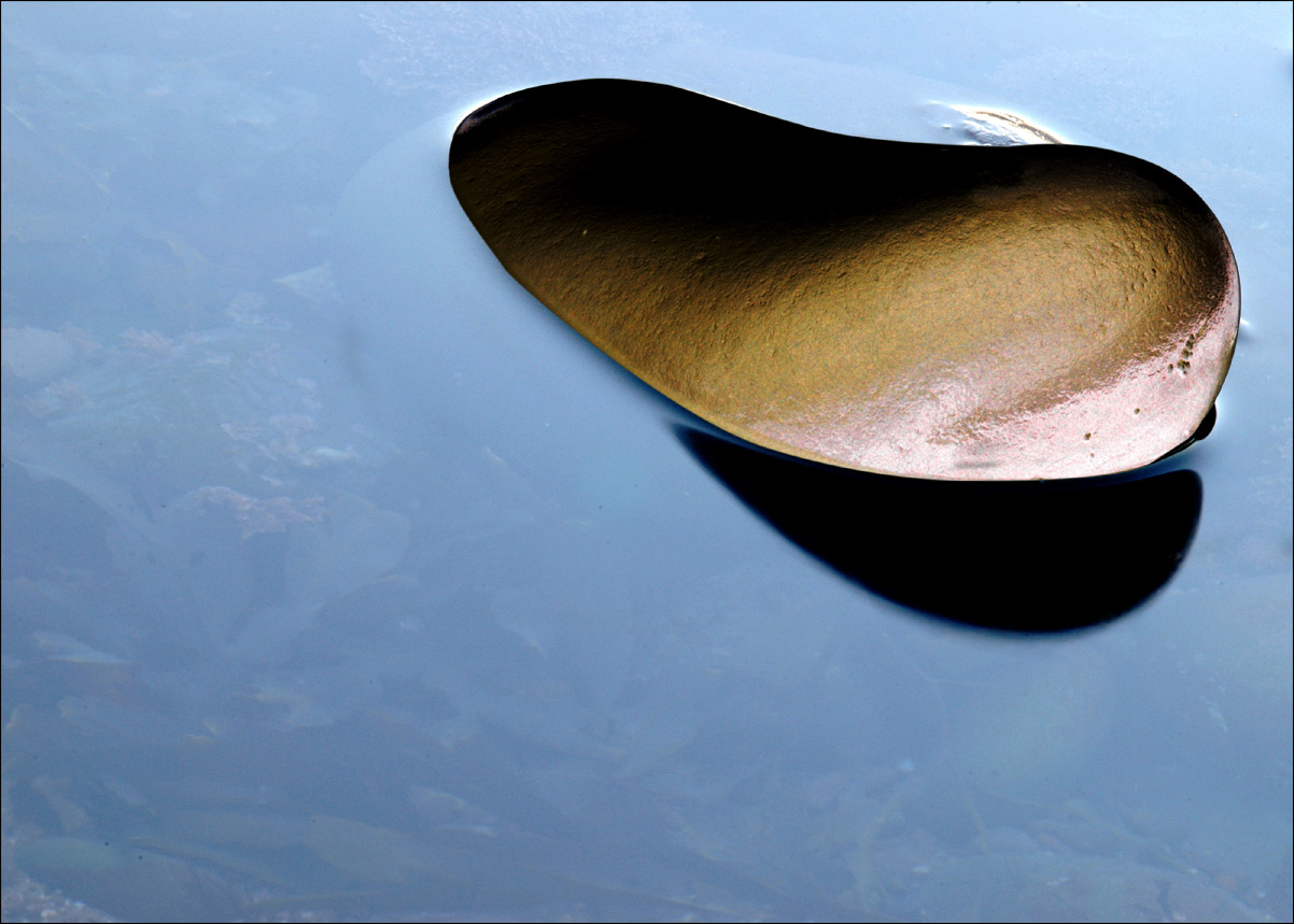 Photography by Redbull_UK for DesignCrowd (Community Contests) | Design #9068725