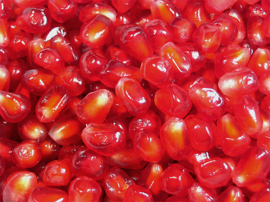 Fotografie von prancing67pony für DesignCrowd (Community Contests) | Design #9076664