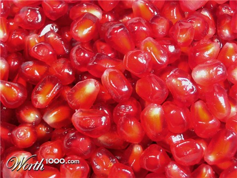 Photography by prancing67pony