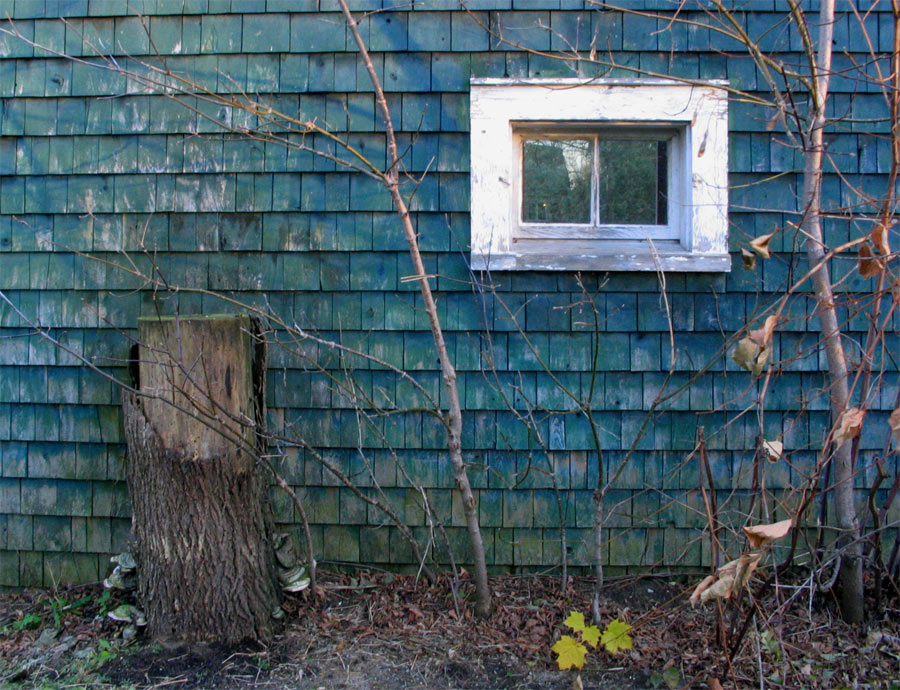 Fotografie von prancing67pony für DesignCrowd (Community Contests) | Design #9055477