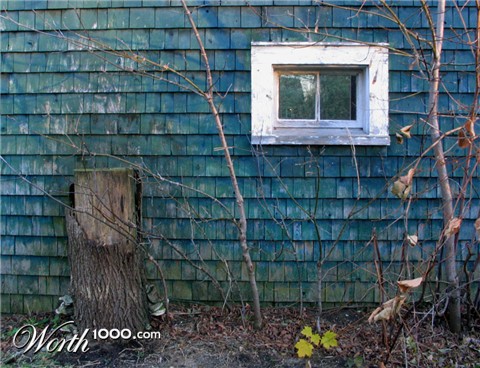 Photography by prancing67pony