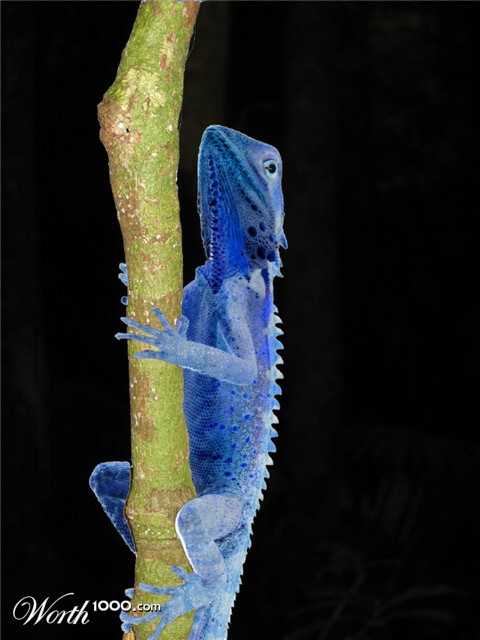 Photography by inbred