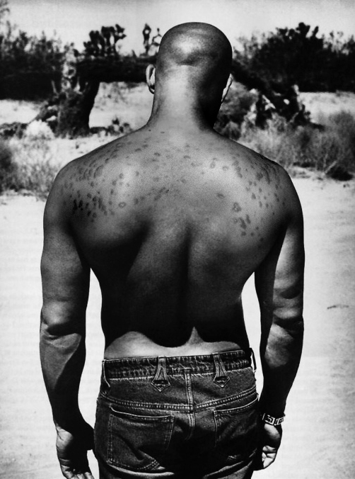 Design Photoshop par reneehiggs pour DesignCrowd (Community Contests) | Design #9066330