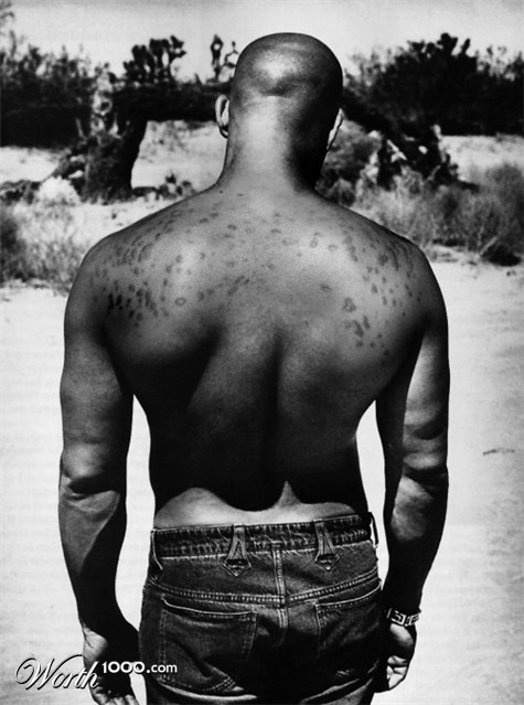 Photoshop Design by reneehiggs