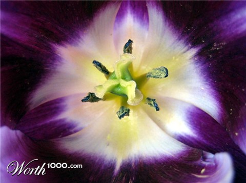 Photography by johnnymaxwell