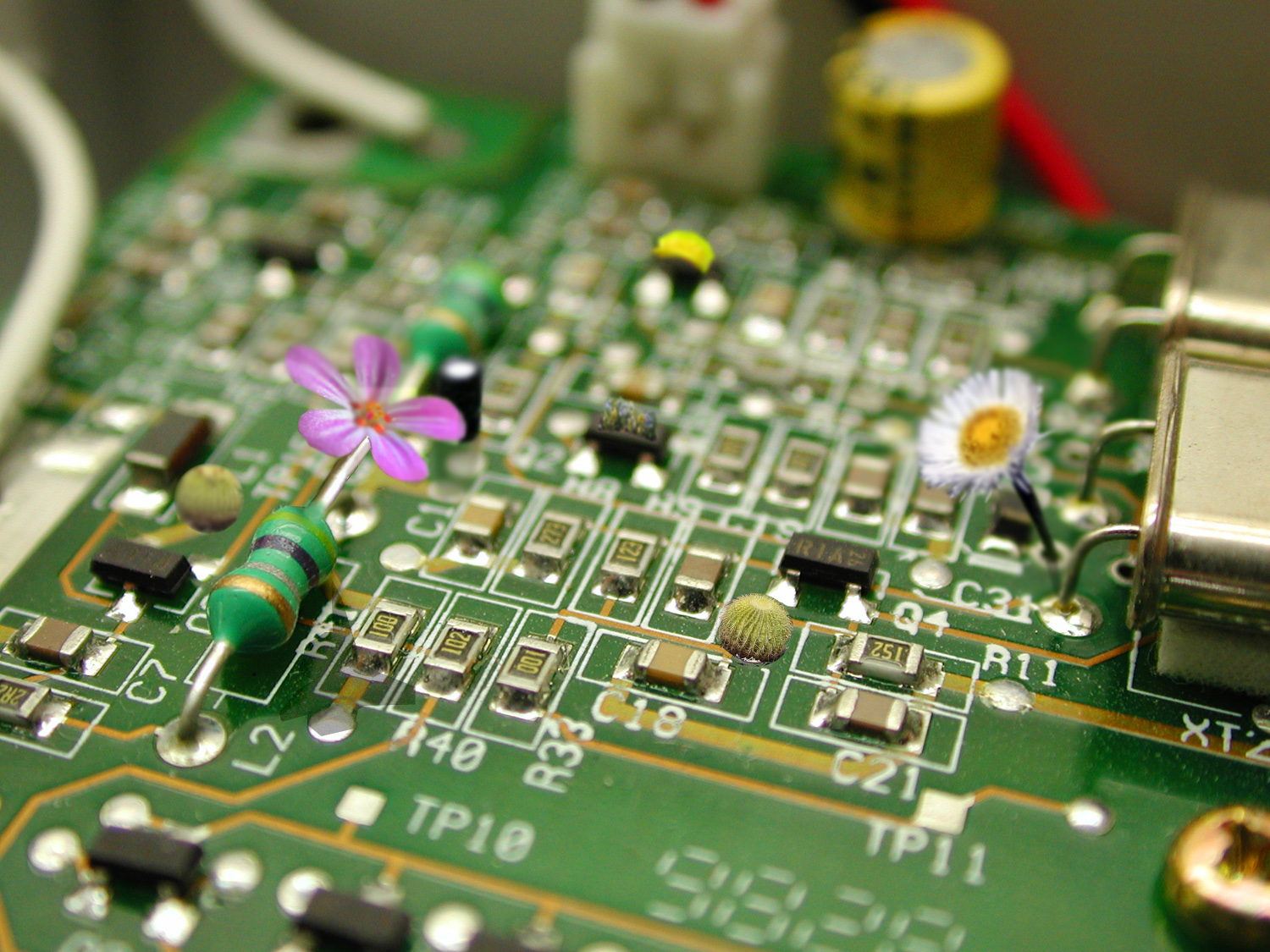 Photoshop Design by funky123 for DesignCrowd (Community Contests) | Design #9067555