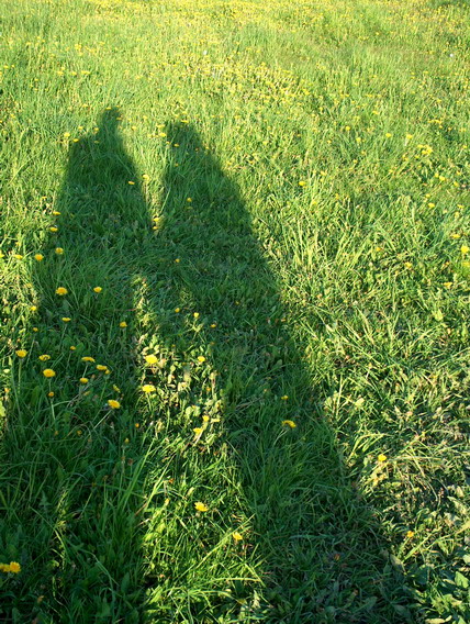 Photographie par aurimas pour DesignCrowd (Community Contests) | Design #9059831