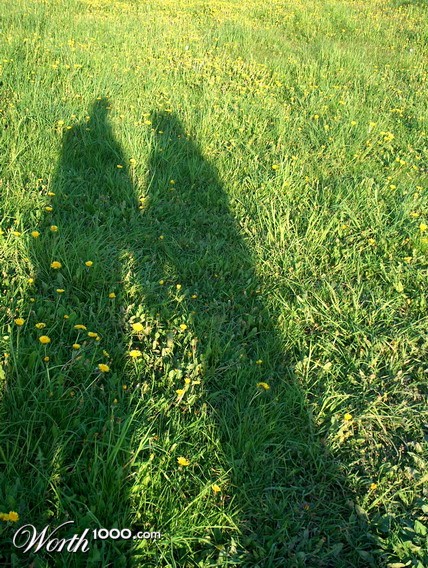 Photography by aurimas