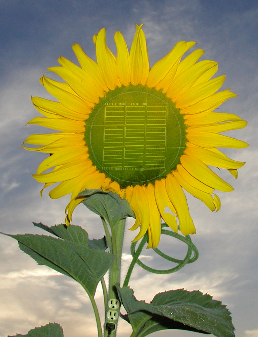 Photoshop Design by Edwardxl for DesignCrowd (Community Contests) | Design #9067558