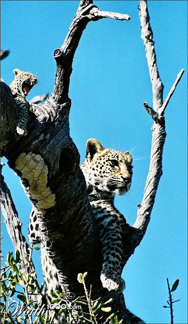 Photography by Juicer