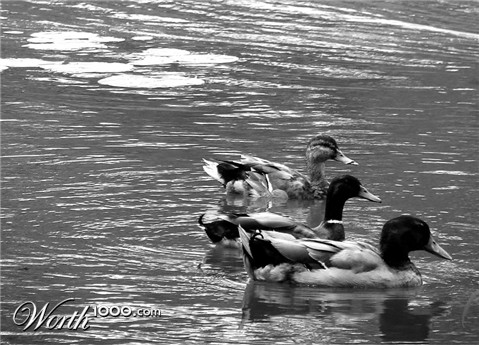 Photography by scotty2hotty