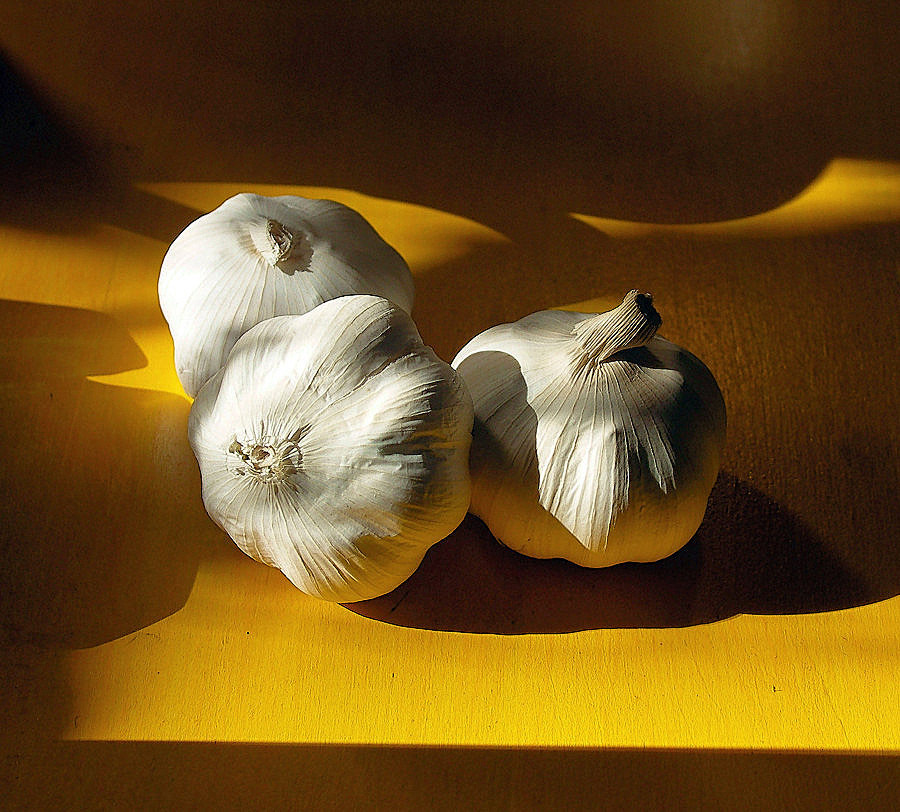 Photography by ruxa2na for DesignCrowd (Community Contests) | Design #9077649