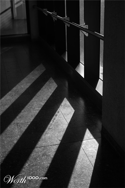 Photography by stueysnail