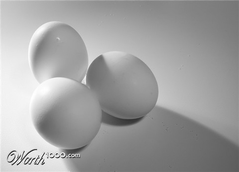 Photography by ritab218