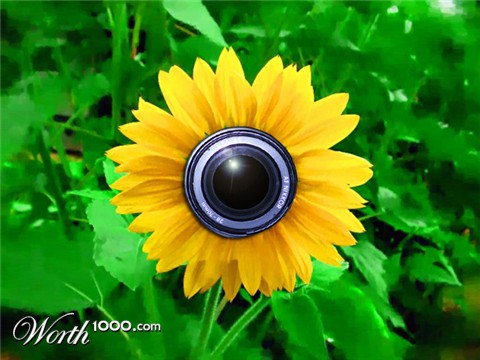 Photoshop Design by schumi