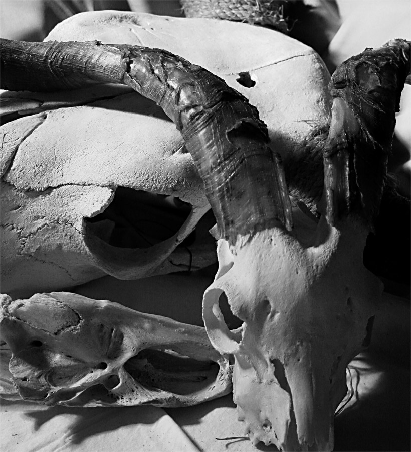 Fotografie von mare53 für DesignCrowd (Community Contests) | Design #9077655