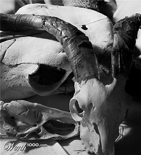 Photography by mare53