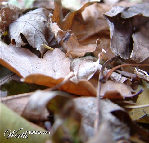 Photography by Salster