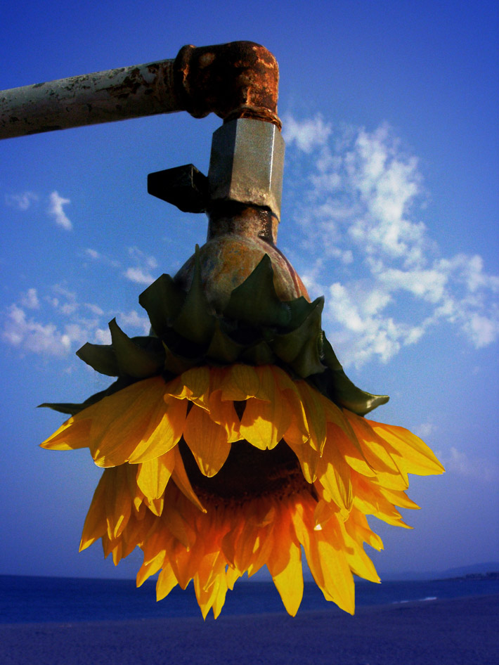 Photoshop Design by bingobaby for DesignCrowd (Community Contests) | Design #9067593