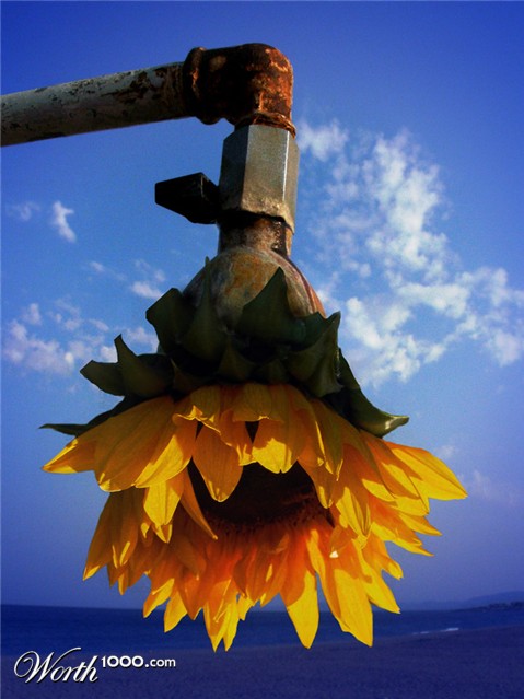 Photoshop Design by bingobaby