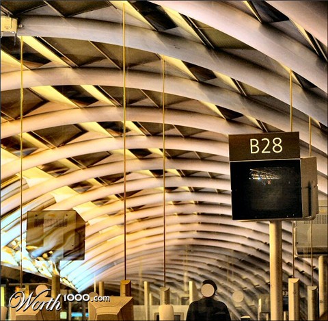 Photography by Juicer