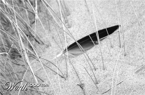 Photography by wongfe