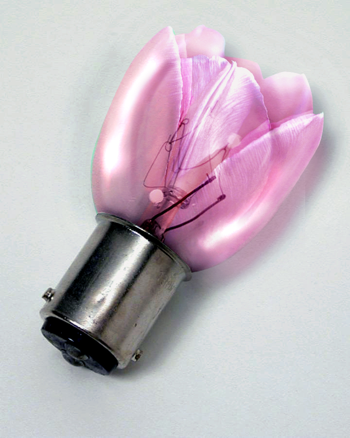 Photoshop Design by NataliaT for DesignCrowd (Community Contests) | Design #9067630