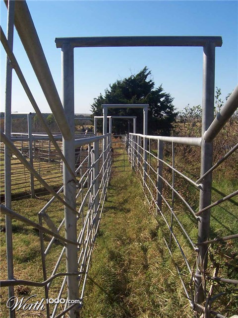 Photography by almostperfect