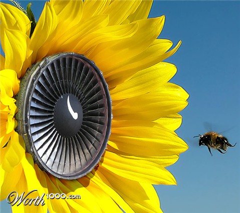 Photoshop Design by Dziedzic