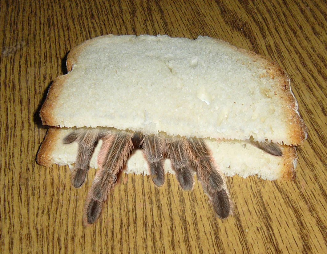 Photoshop Design by scarie for DesignCrowd (Community Contests) | Design #9066883