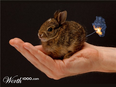 Photoshop Design by hansnz