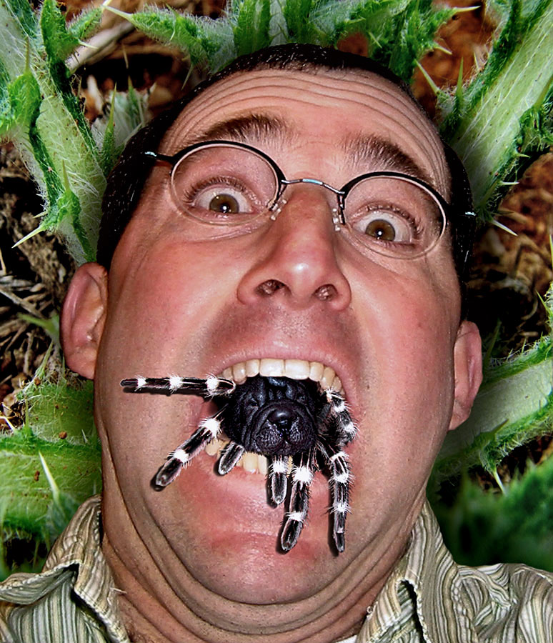 Design Photoshop par ozplasmic pour DesignCrowd (Community Contests) | Design #9066907