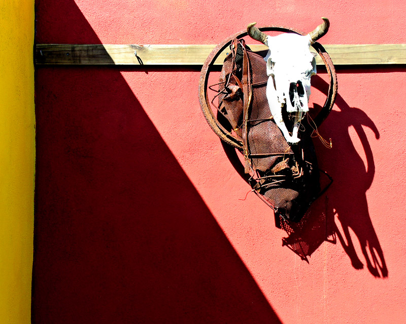 Photography by TampaDroid for DesignCrowd (Community Contests) | Design #9059859