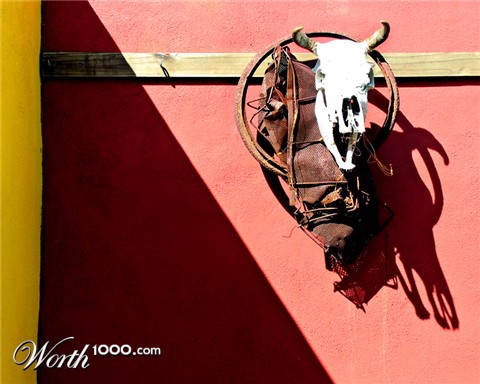 Photography by TampaDroid