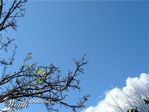 Photography by jardel