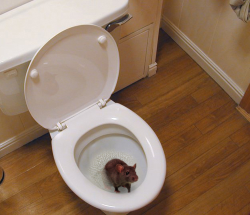 Photoshop Design by Ron Miller for DesignCrowd (Community Contests) | Design #9066909