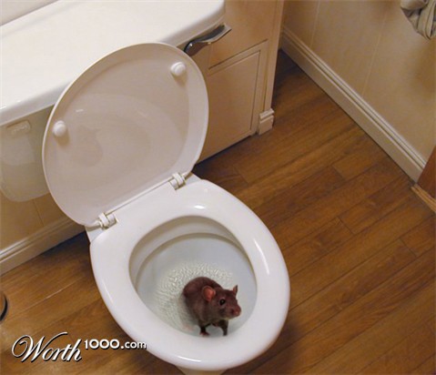 Photoshop Design by Ron Miller