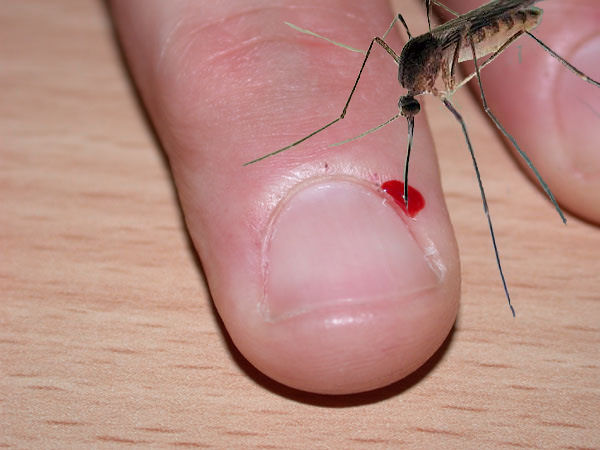 Photoshop Design by loekigizmo for DesignCrowd (Community Contests) | Design #9067002