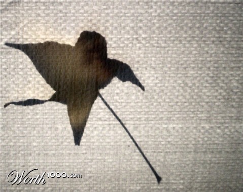 Photography by tlovesd