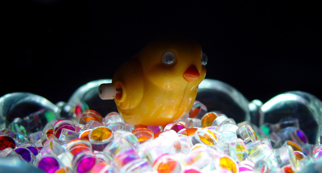Photography by bkhwaja for DesignCrowd (Community Contests) | Design #9068013
