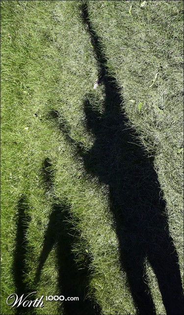 Photography by Scuzem