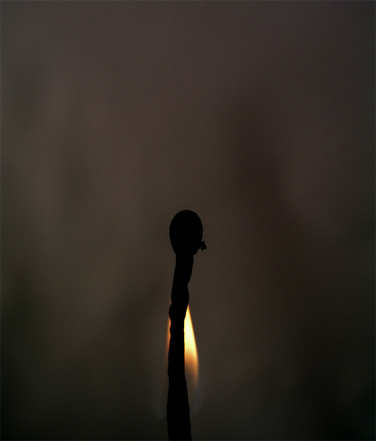 Photography by resquin for DesignCrowd (Community Contests) | Design #9059115