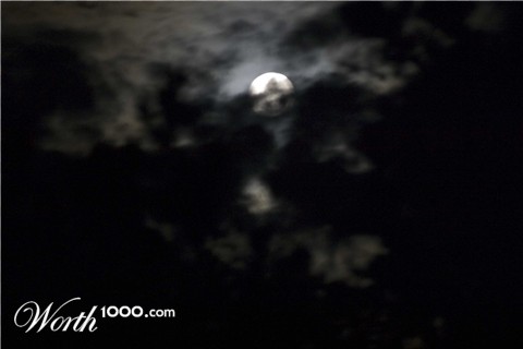 Photography by lazarkl