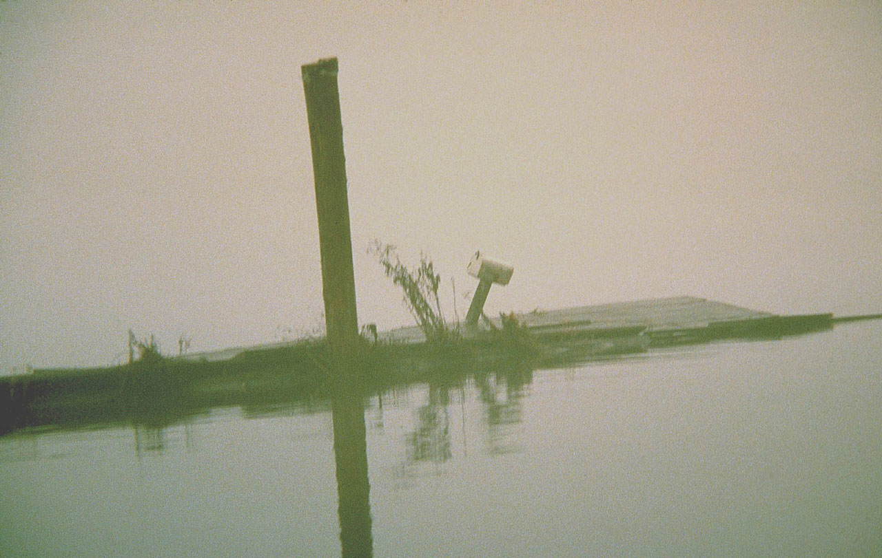 Photography by tigercrosse for DesignCrowd (Community Contests) | Design #9059133