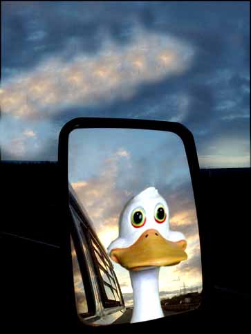 Photoshop Design by JakeFell for DesignCrowd (Community Contests) | Design #9067084