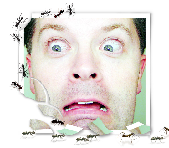 Photoshop-Design von kito33 für DesignCrowd (Community Contests) | Design #9067101