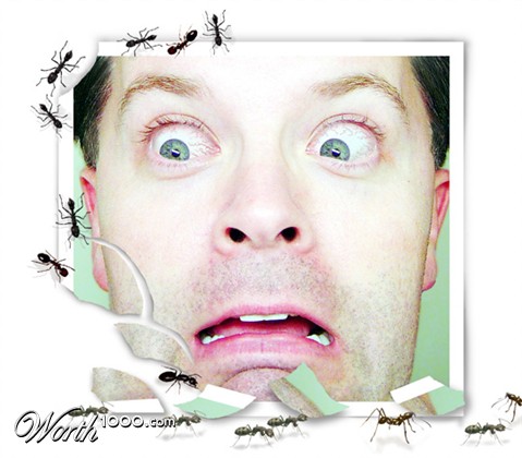 Photoshop Design by kito33