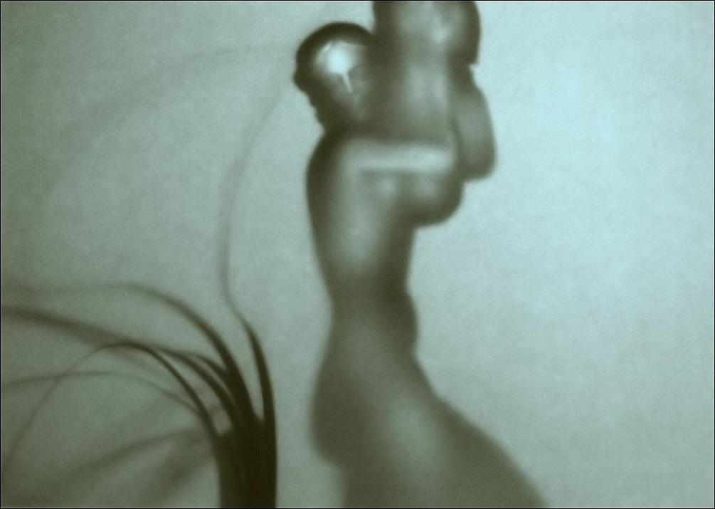 Photography by Isabella2006 for DesignCrowd (Community Contests) | Design #9060001