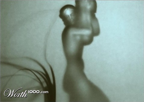 Photography by Isabella2006