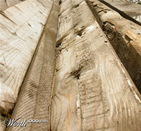 Photography by bevissimo